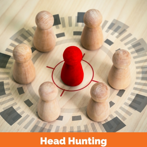 Tomando en cuenta que nuestra selectiva cartera de clientes requiere profesionales con perfiles específicos, realizamos la labor de hunting/cazatalentos para reclutar al talento idóneo.